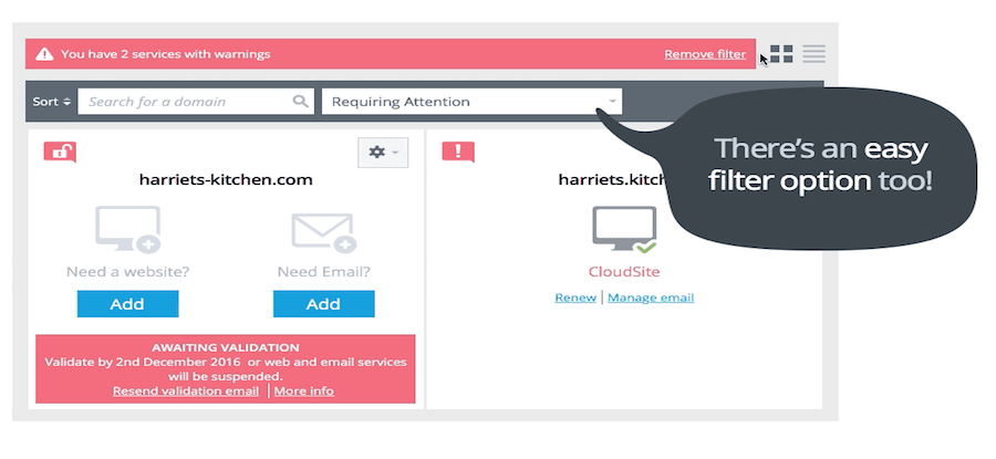 See renewals due and domains that need attention