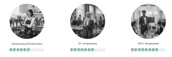 Three circles displaying level of digital confidence for solopreneurs, 10+ employees and 500+ employees.